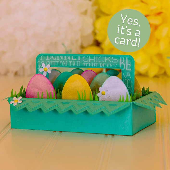 Egg Carton Box Card