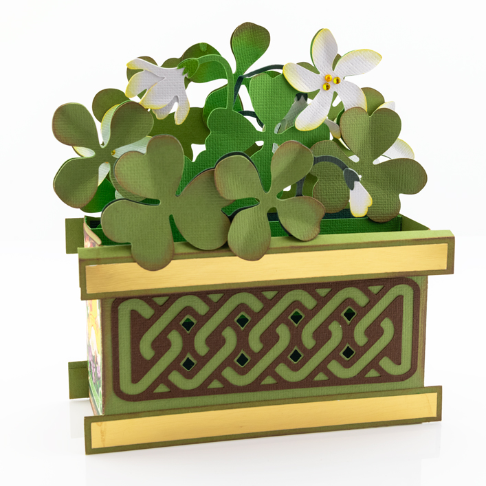 Lucky Clovers Box Card - Click Image to Close