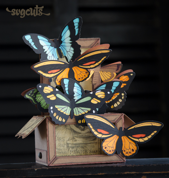 Butterflies Box Card - Click Image to Close