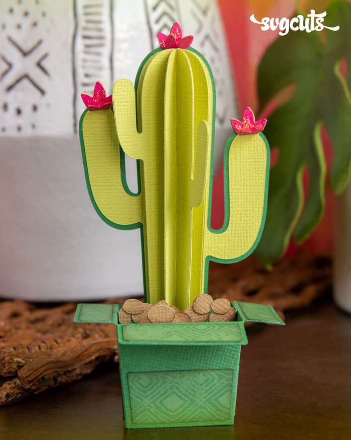 Cactus Box Card - Click Image to Close