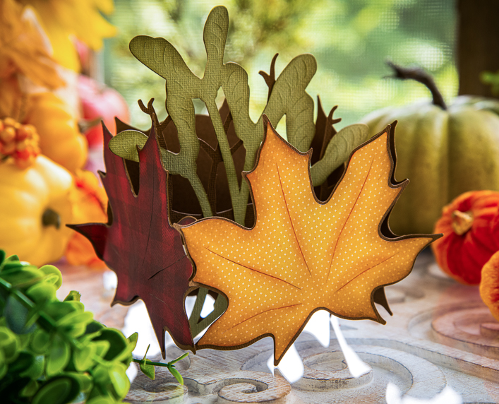 Maple Leaves Box Card - Click Image to Close
