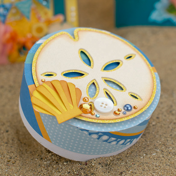 Sand Dollar Box - Click Image to Close