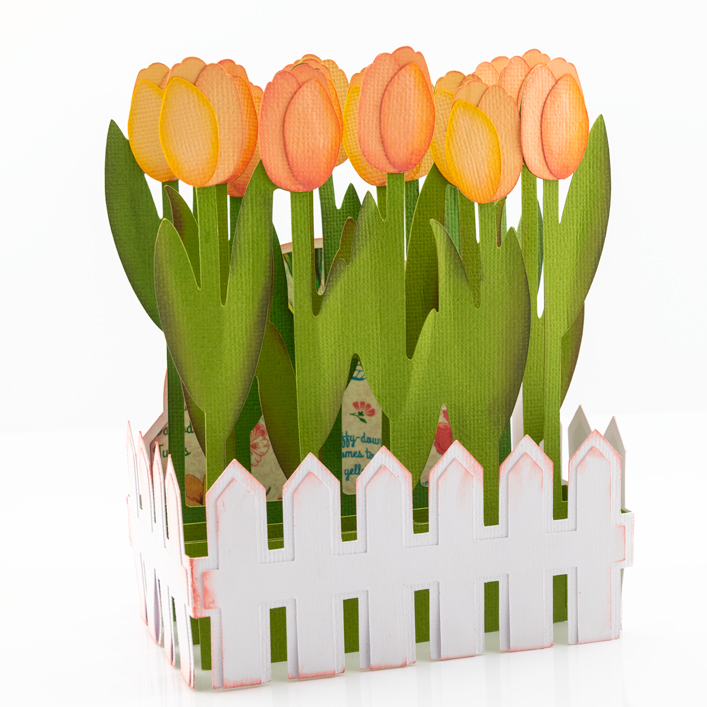 Tulips Box Card